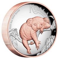 Australia 2022 Koala 5oz Silver Proof High Relief Gilded Coin