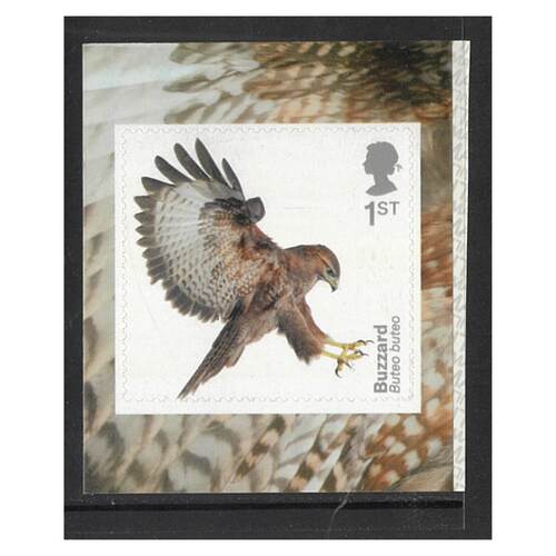 Great Britain 2019 Birds of Prey - Buzzard Self-adhesive Stamp SG4210 MUH 