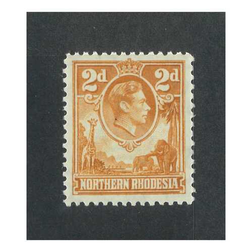 Northern Rhodesia: 1938 KGVI 2d Yellow-Brown Single Stamp SG 31 Marginal MUH #BR358