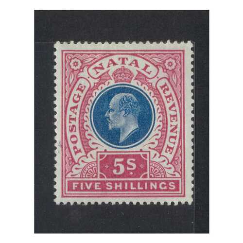 Natal: 1902 KEVII 5/- Single Stamp SG 140 MLH #BR404