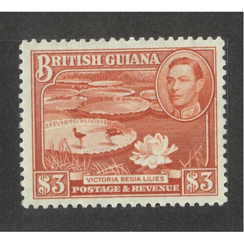 British Guiana: 1938-1952 KGVI/Water-Lilies $3 p12½ Shade Single Stamp SG 319a MLH #BR427